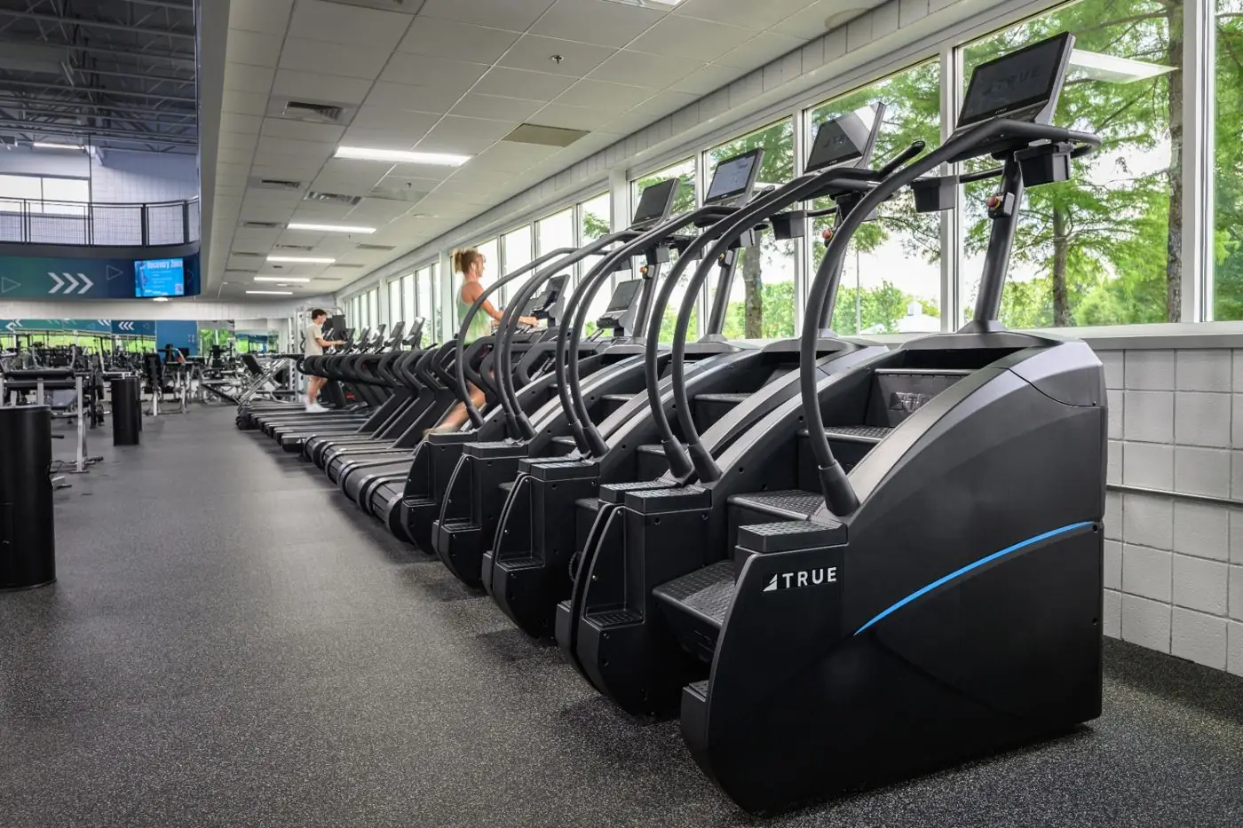 Línea de escaladoras y caminadoras True Fitness en centro de wellness corporativo