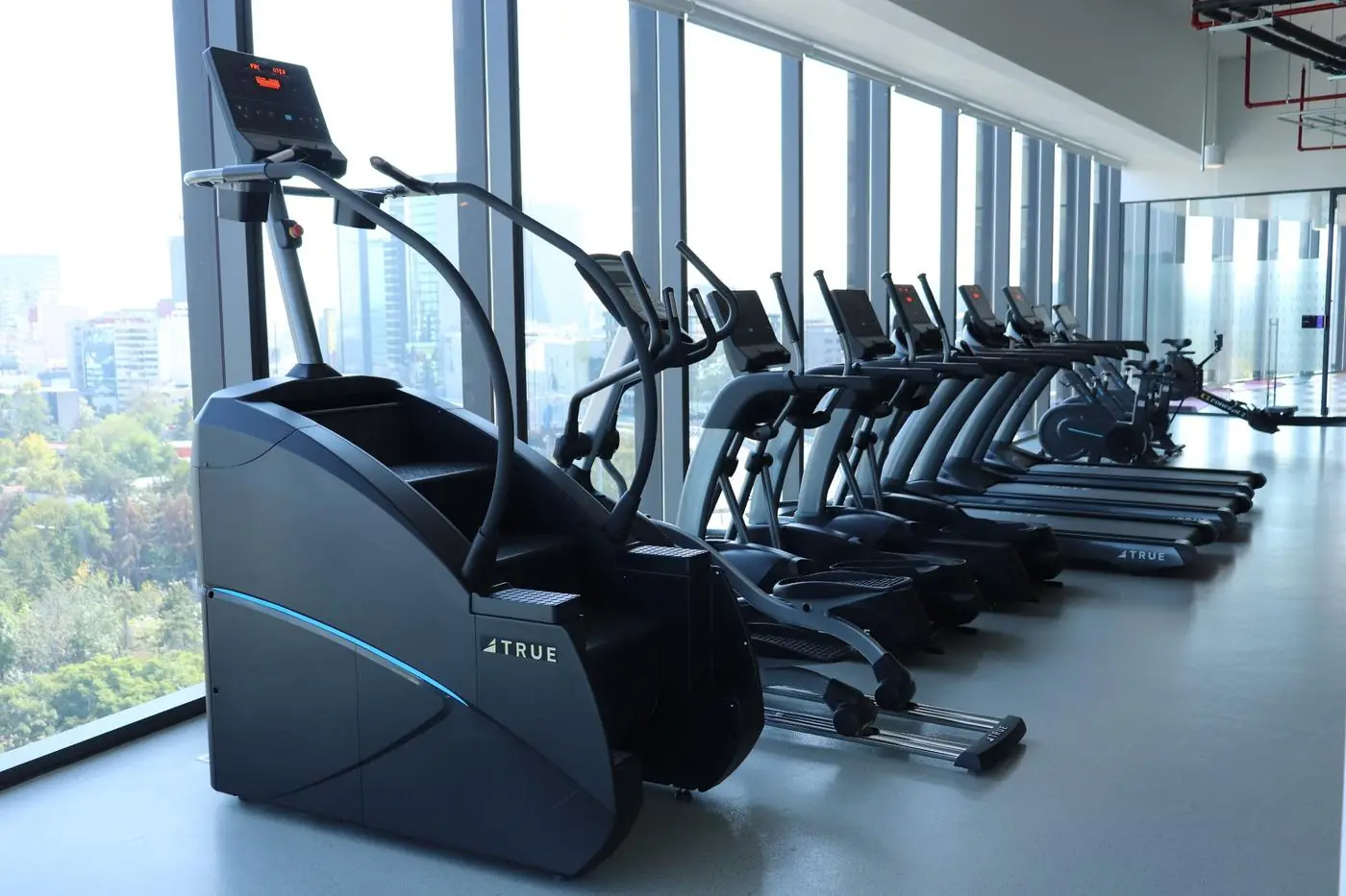 Línea de equipos cardio True Fitness frente a ventanal urbano en gimnasio corporativo — Fitness Factory