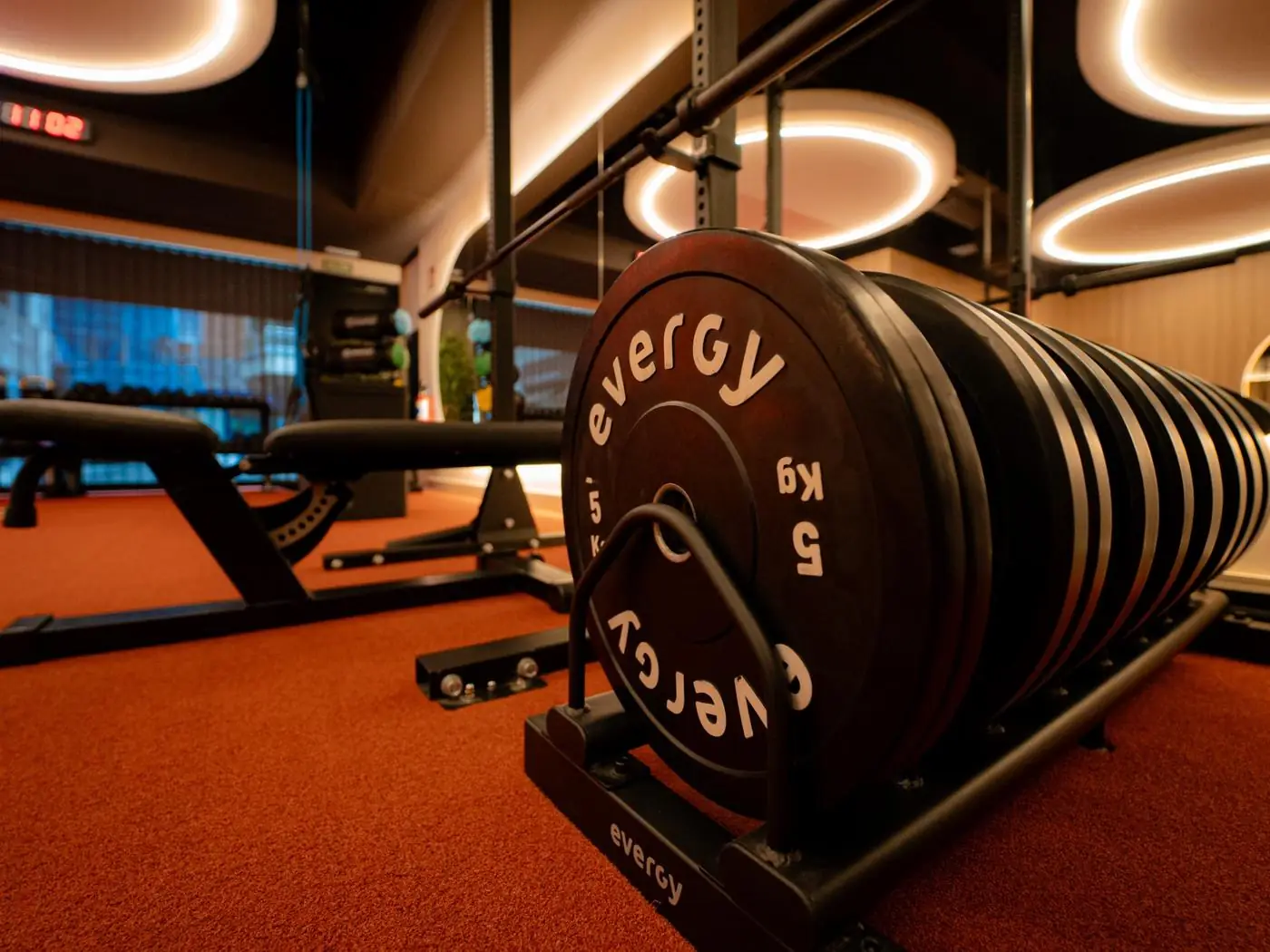 Detalle de discos bumper Evergy y barra olímpica en studio funcional — Fitness Factory