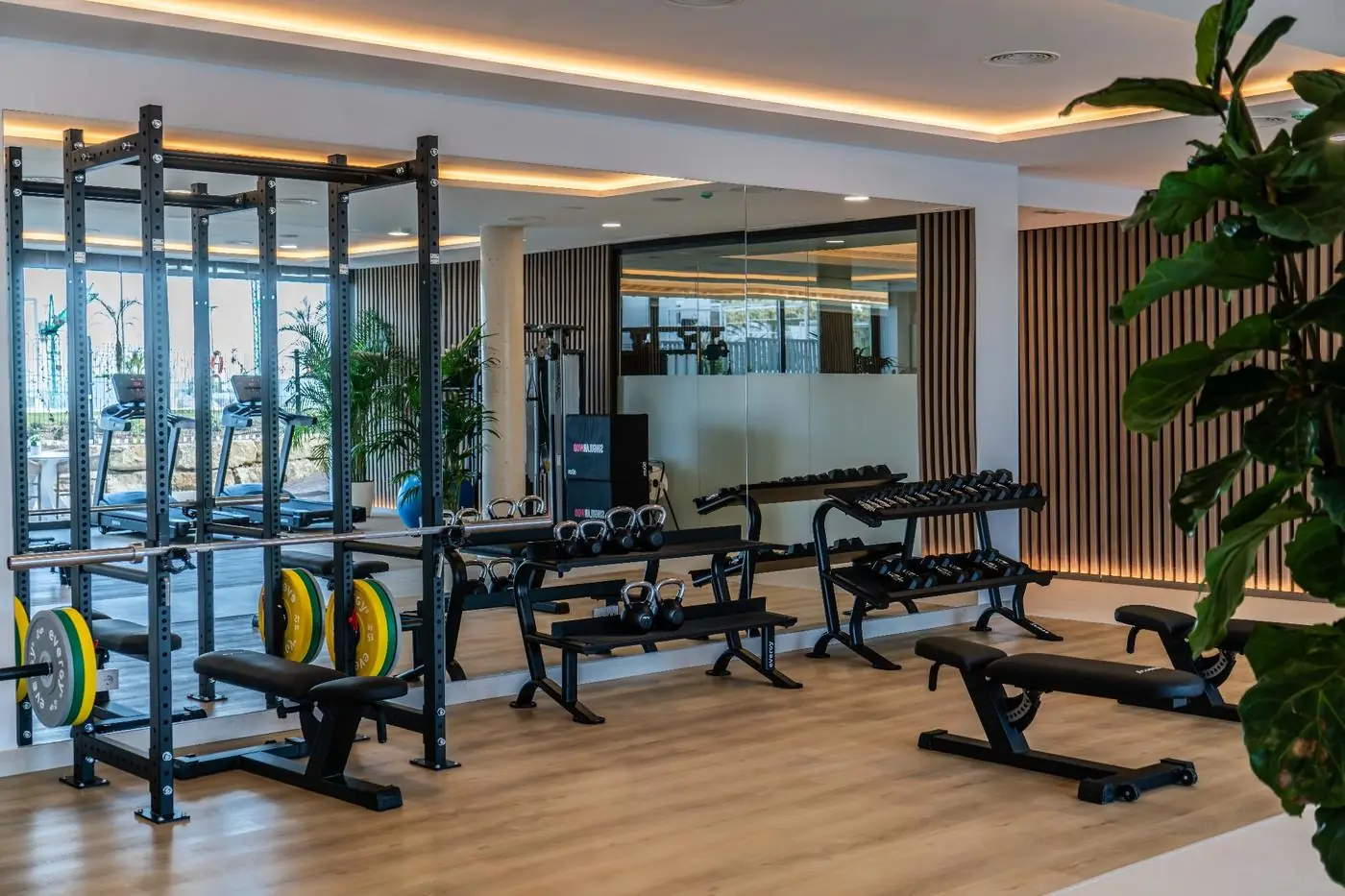 Zona de fuerza con rack, barras y mancuernas Evergy en wellness de hotel de lujo — Fitness Factory