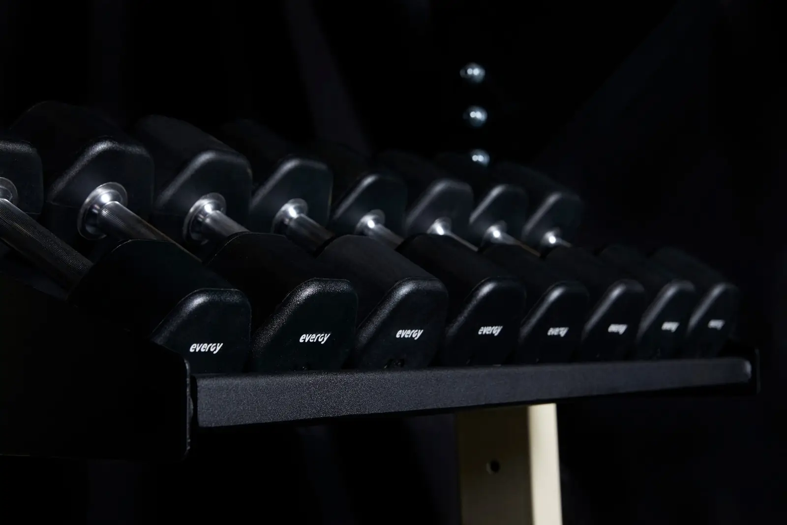Rack de mancuernas premium Evergy en gimnasio comercial